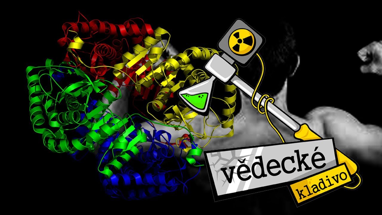 Co je to protein? - Vědeck&eacute; kladivo AK 2