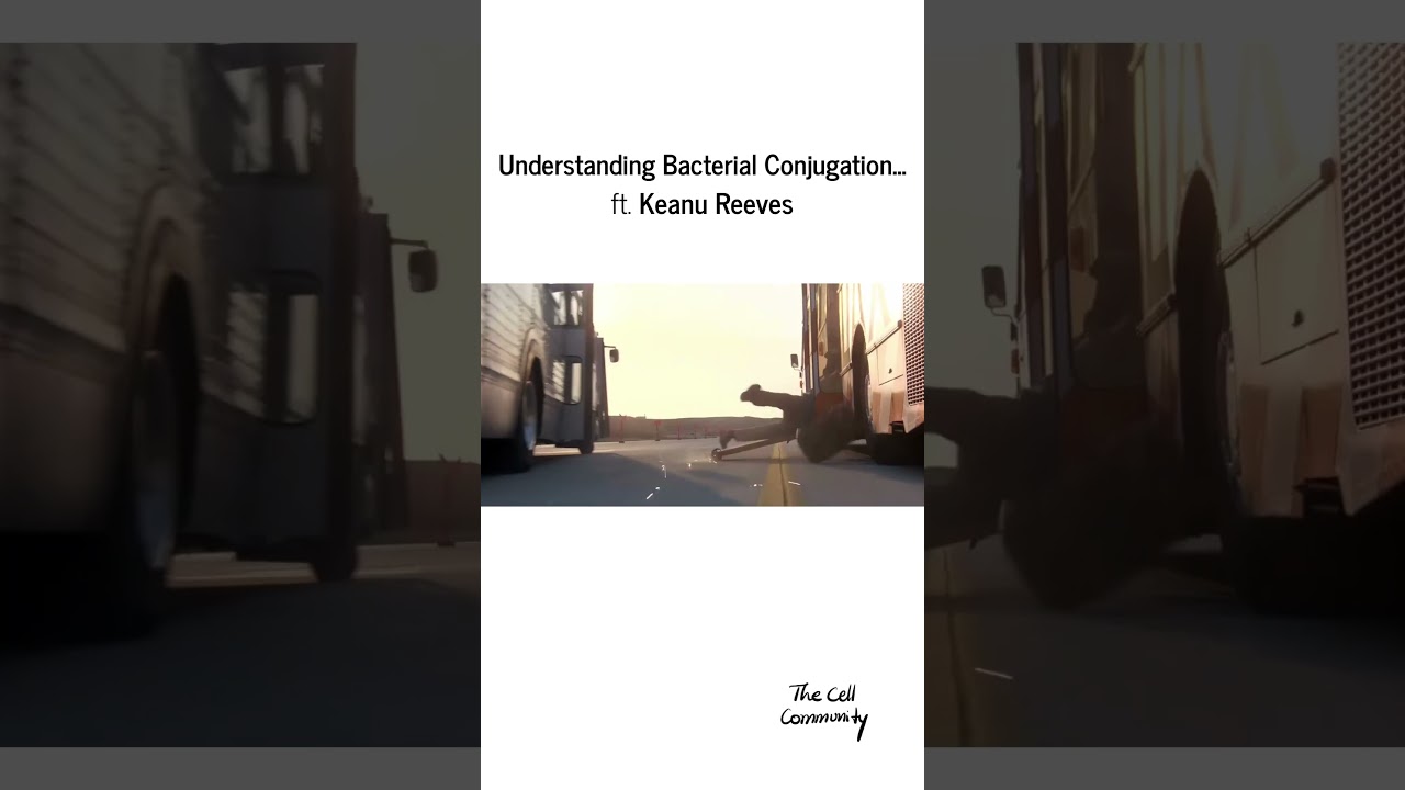 Understanding Bacterial Conjugation... ft. Keanu Reeves