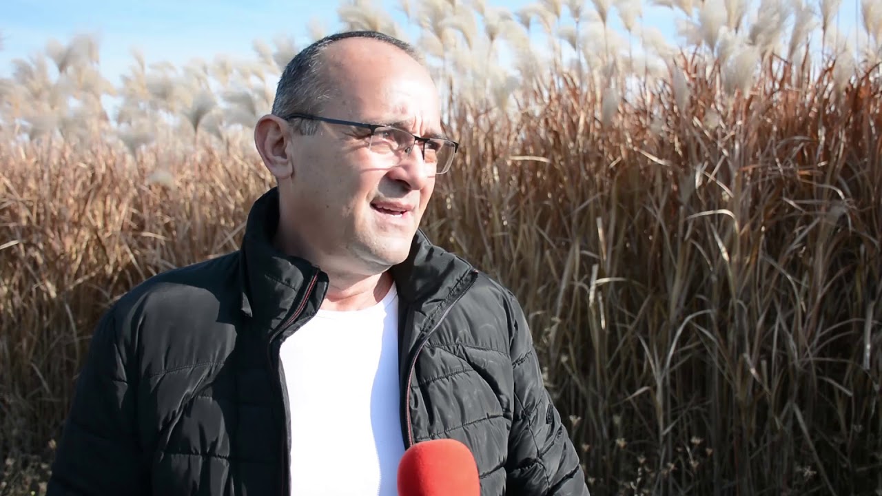 Miskantus u Šapcu - porodica Šamatić