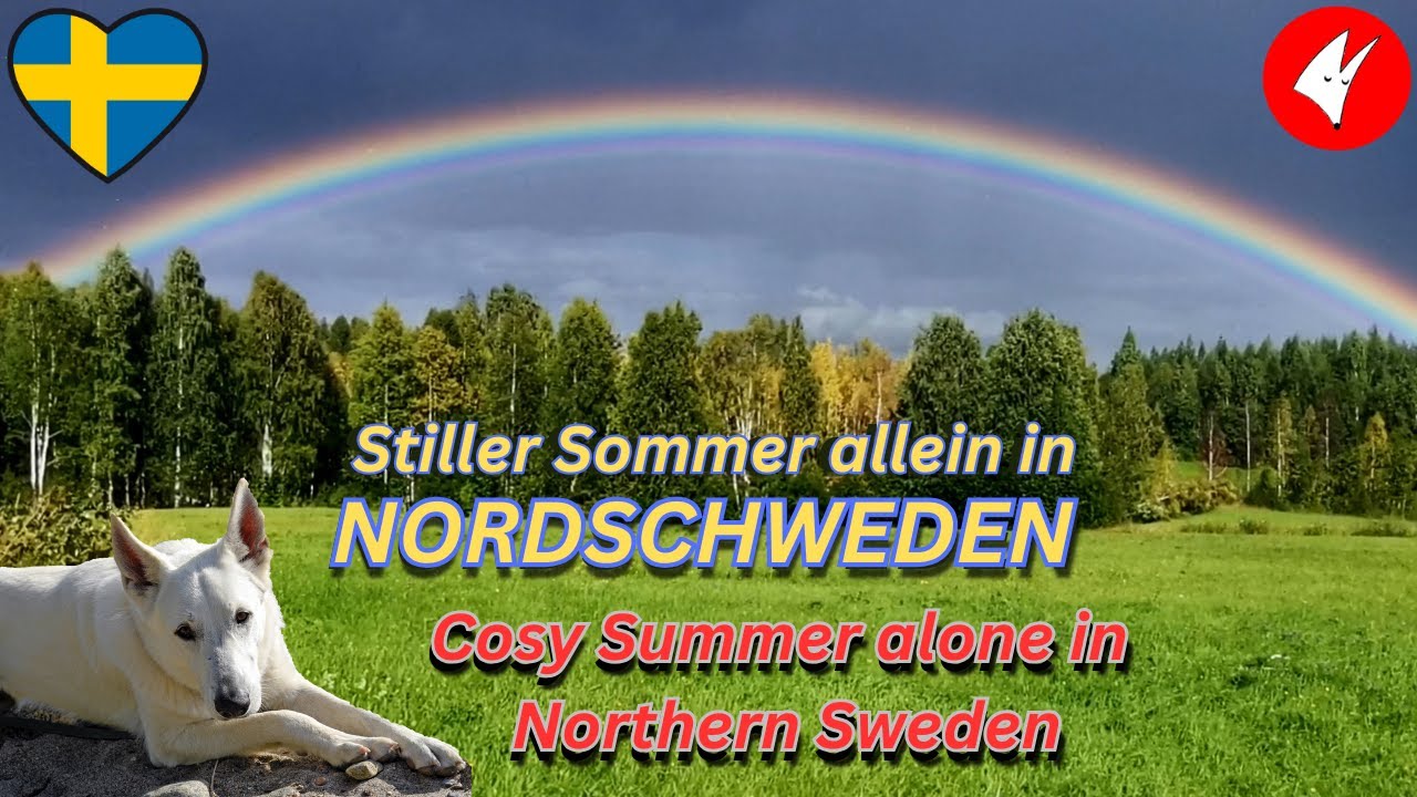 Stiller Sommer allein in Nordschweden - Cosy Summer alone in Northern Sweden