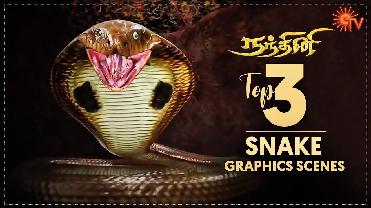 Nandhini Super Scenes 1 | Top 3 Snake Graphics Scenes | Sun TV Serial | Tamil Serial