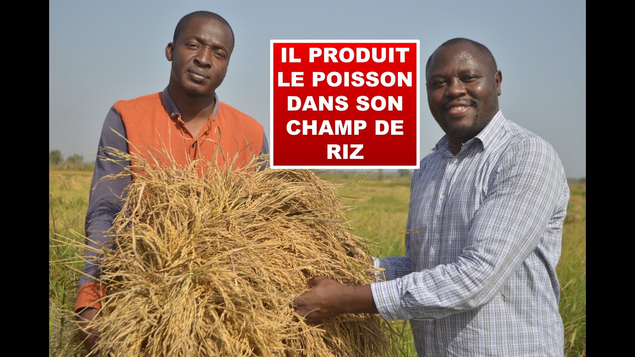 Il produit le poisson et le riz dans son champ