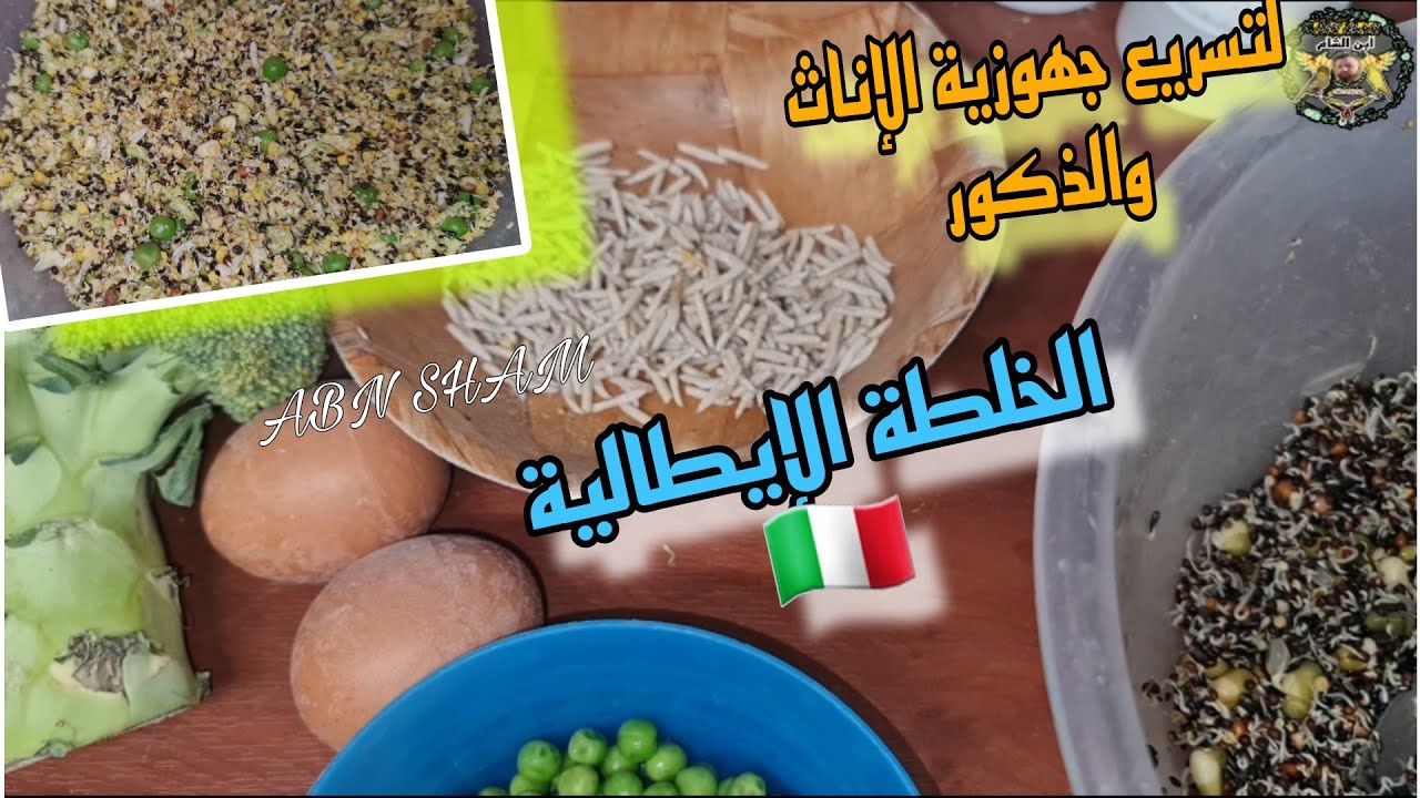 ب 5 مكونات فقط سرع من جهوزية طيورك للكناري والحسون لموسم التزاوج{لتحفيز هرمون التستوستيرون}🔞🔞