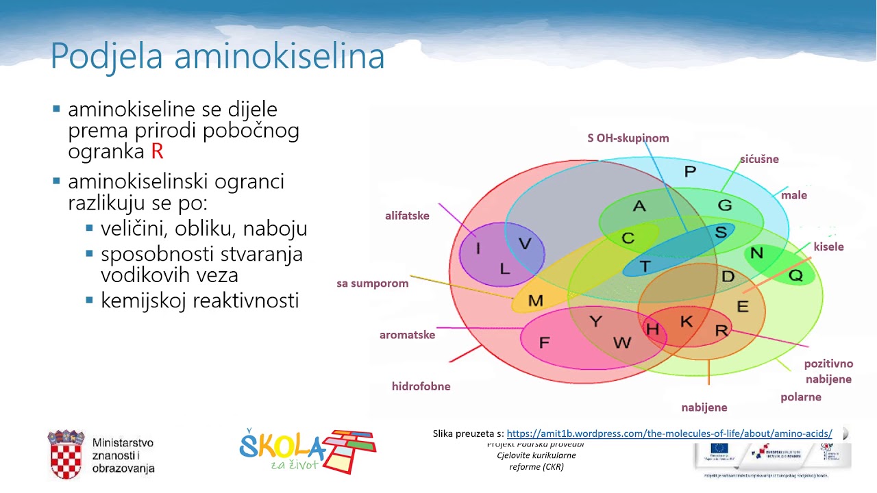 Kemija 4. r. S&Scaron; - Aminokiseline