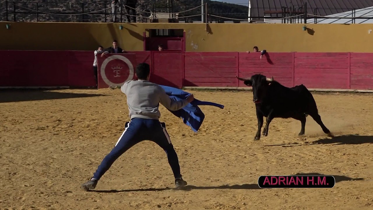 Capea Ganadería Hnos. Monferrer  1-12-2019