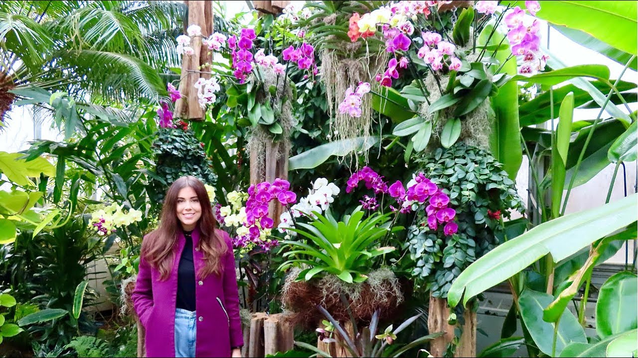 Come With Me To The Orchid Show | Chicago Botanic Garden