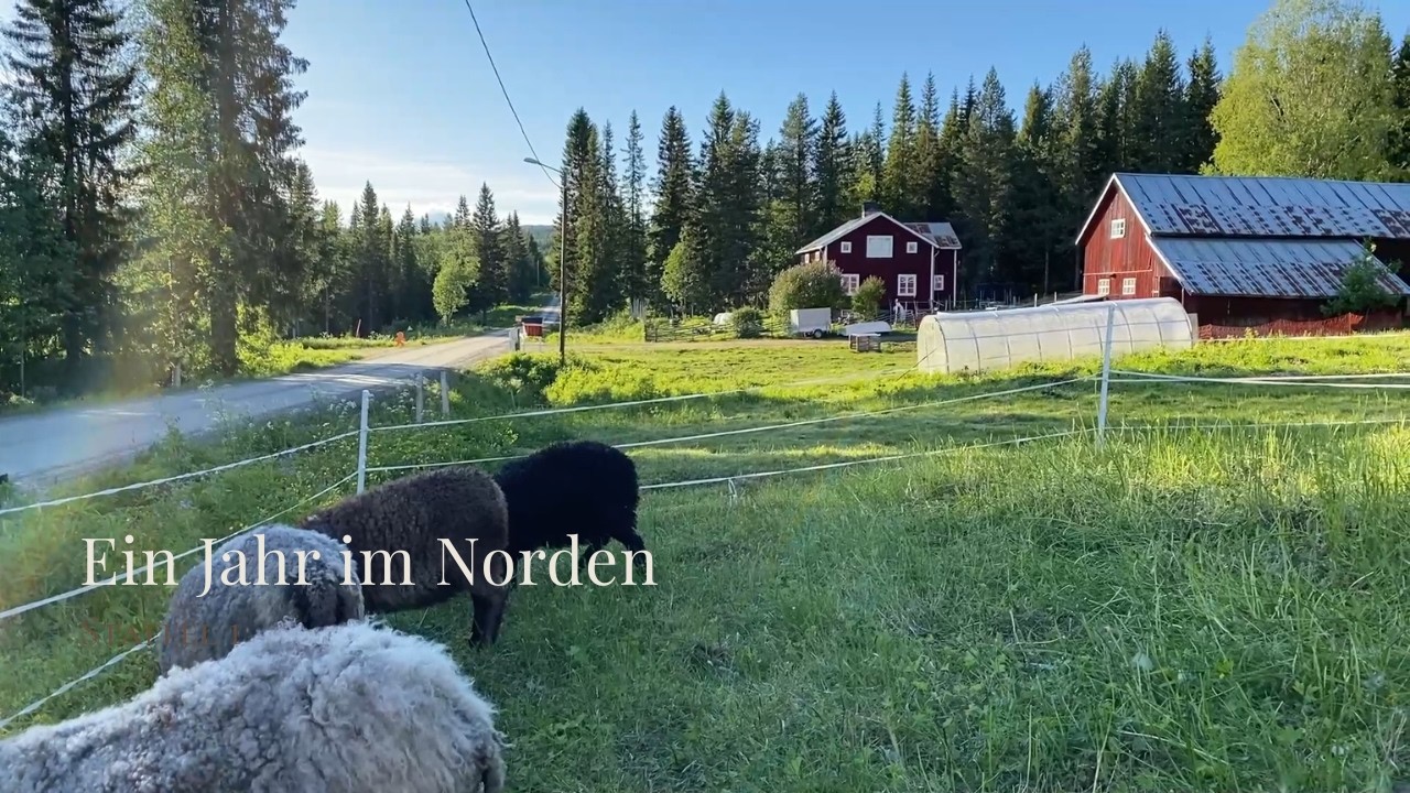1 Jahr Schweden - Verlassener Hof wieder zum Leben erweckt?