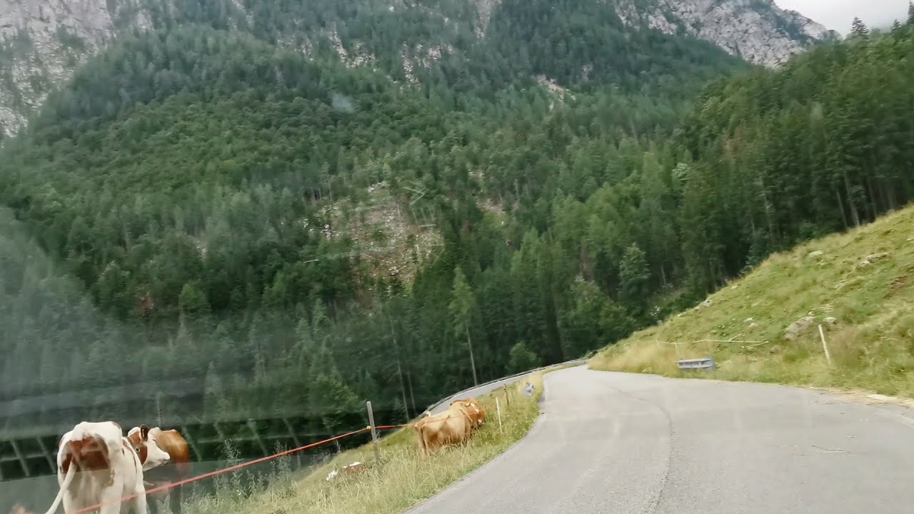 Nassfeld (Austria) - Pontebba (Italy) 2025. július 12.