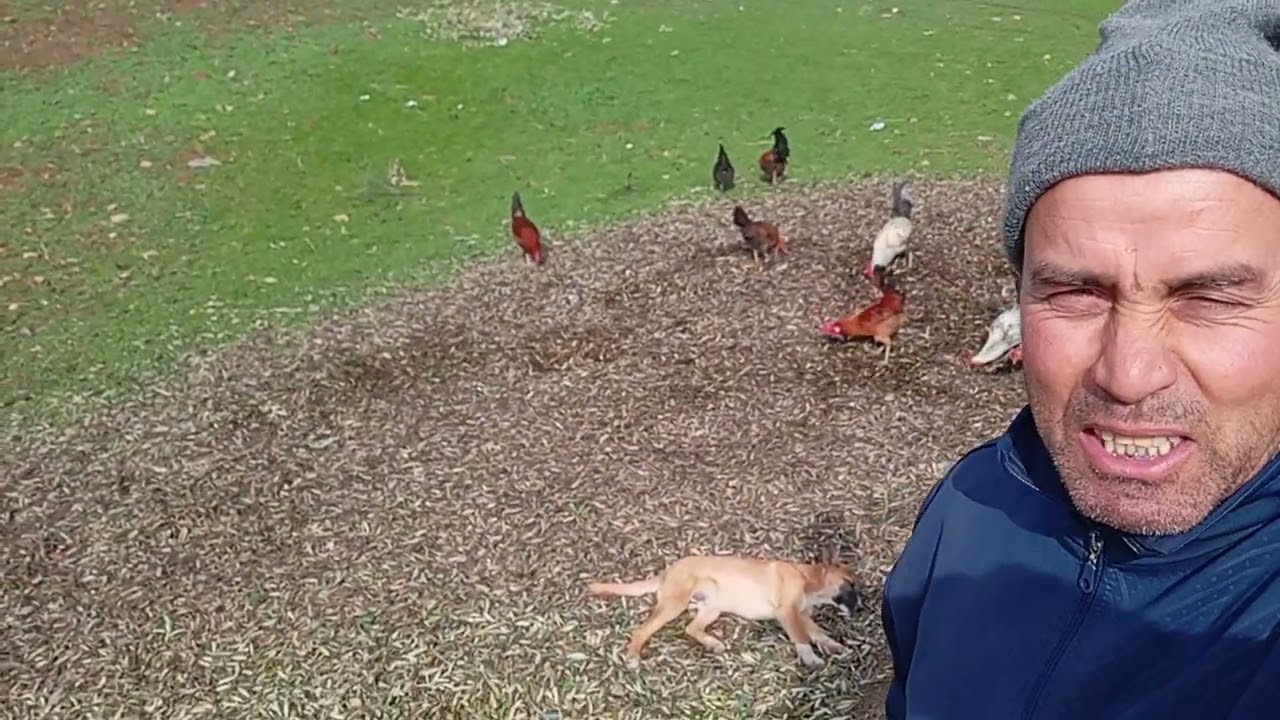 سحر البادية عند جبالة 🇲🇦❤️❤️