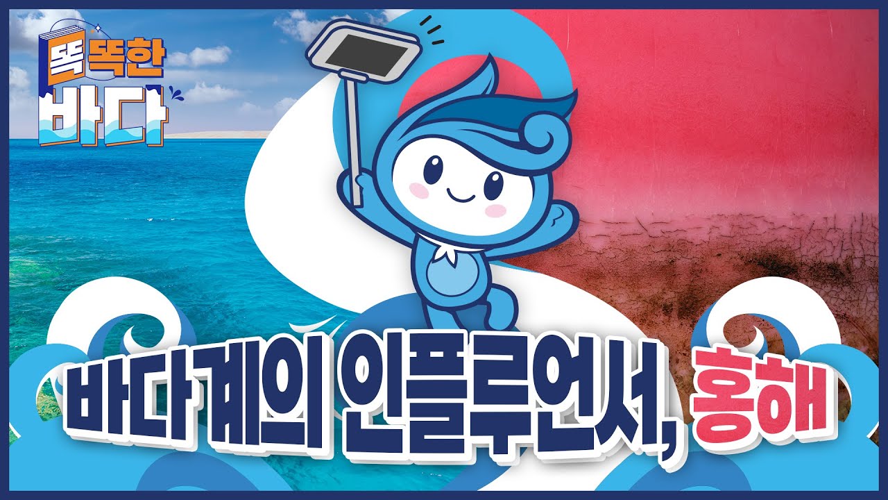 발길, 아니 물길이 안 닿는 곳이 없는 바다계 인플, 홍해! [똑똑한 바다]