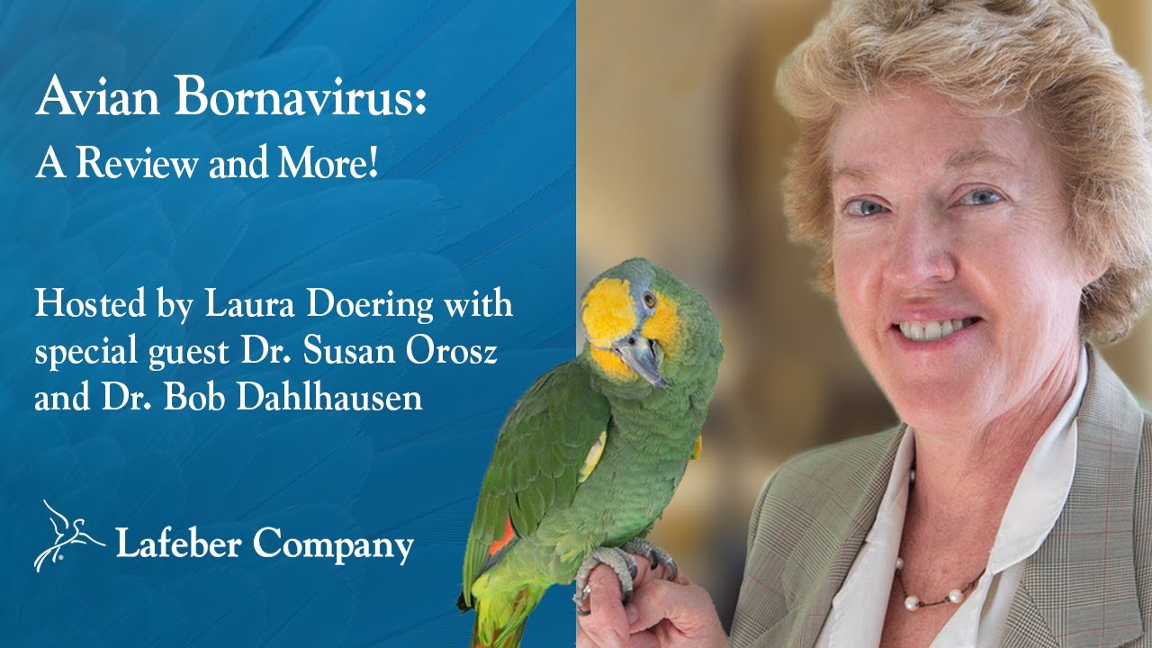 Avian Bornavirus Part 2- A Review & More with Dr. Susan Orosz & Dr. Robert Dahlhausen