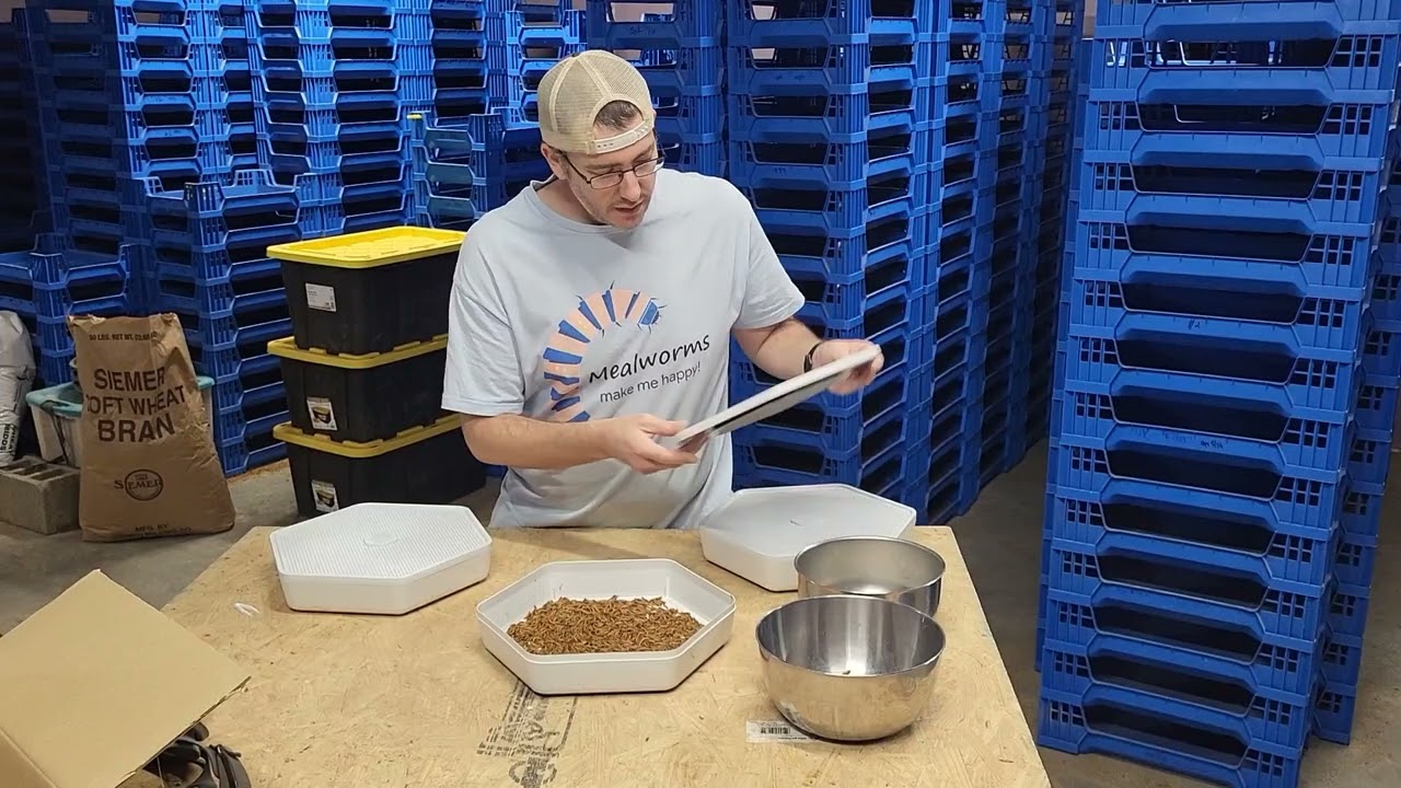 Do you want to raise your own mealworms?  Check this out!