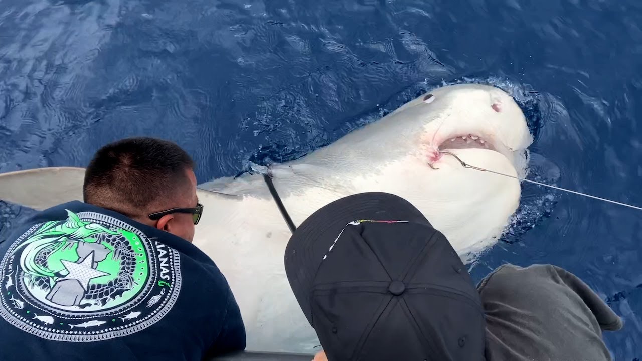 Shark Depredation in Guam- VOS10-4