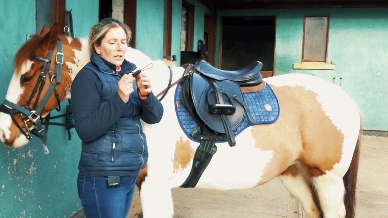 Balanced Support Reins Fitting Guide Swedish / Tyglar Monteringsguide - Svenska