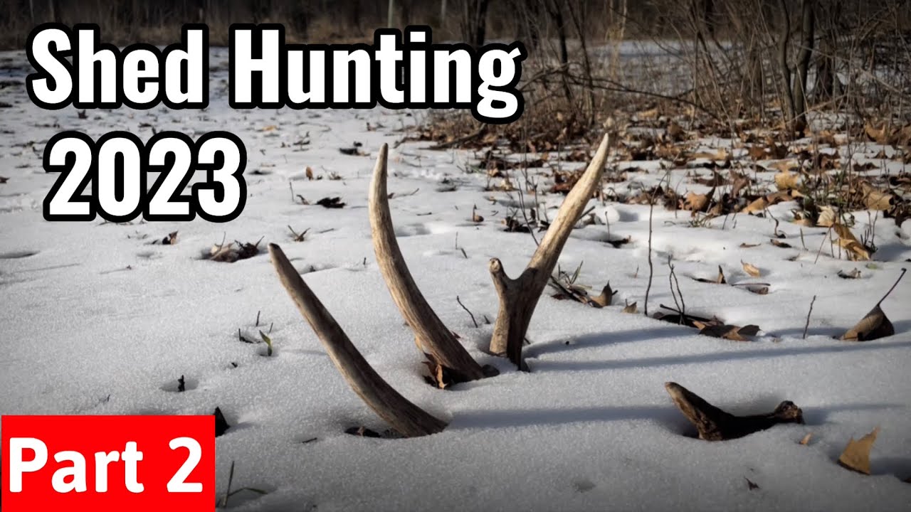 Shed Hunting 2023 - Part 2 Found My Target Buck