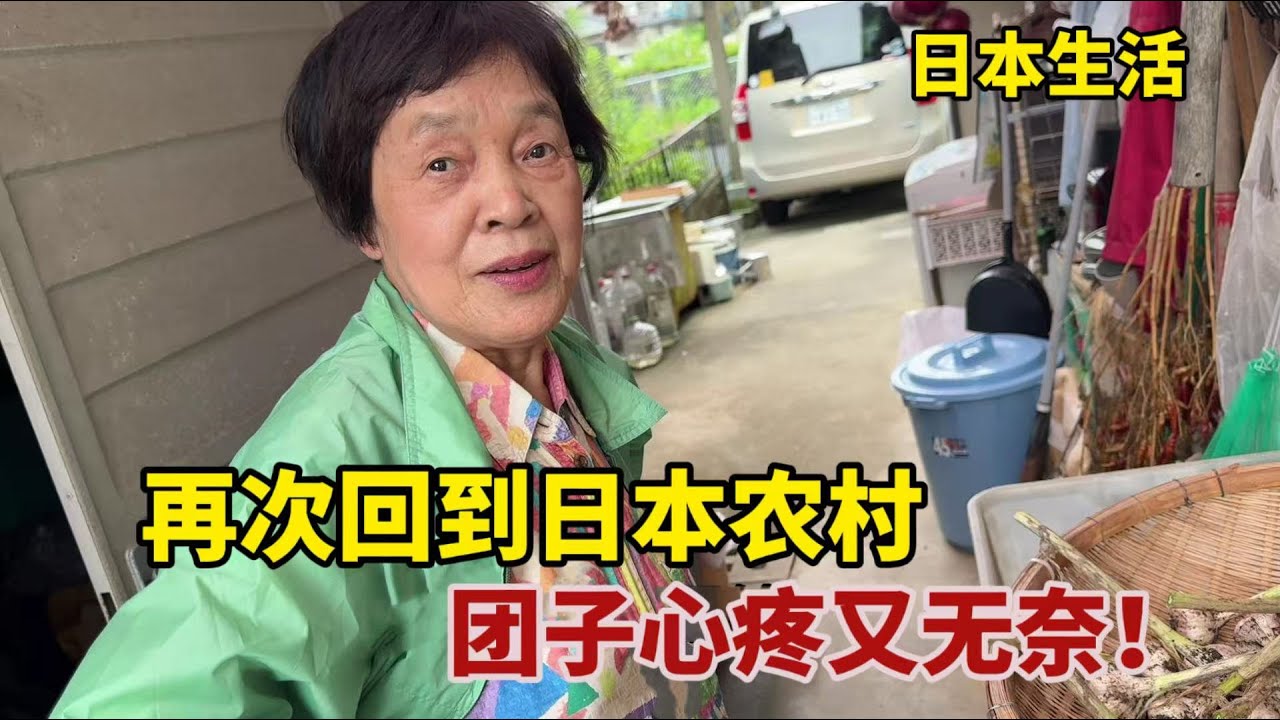 【團子姐日本生活】帶兒子回到日本農村，團子一看傷心壞了，這日本大叔太不靠譜了！