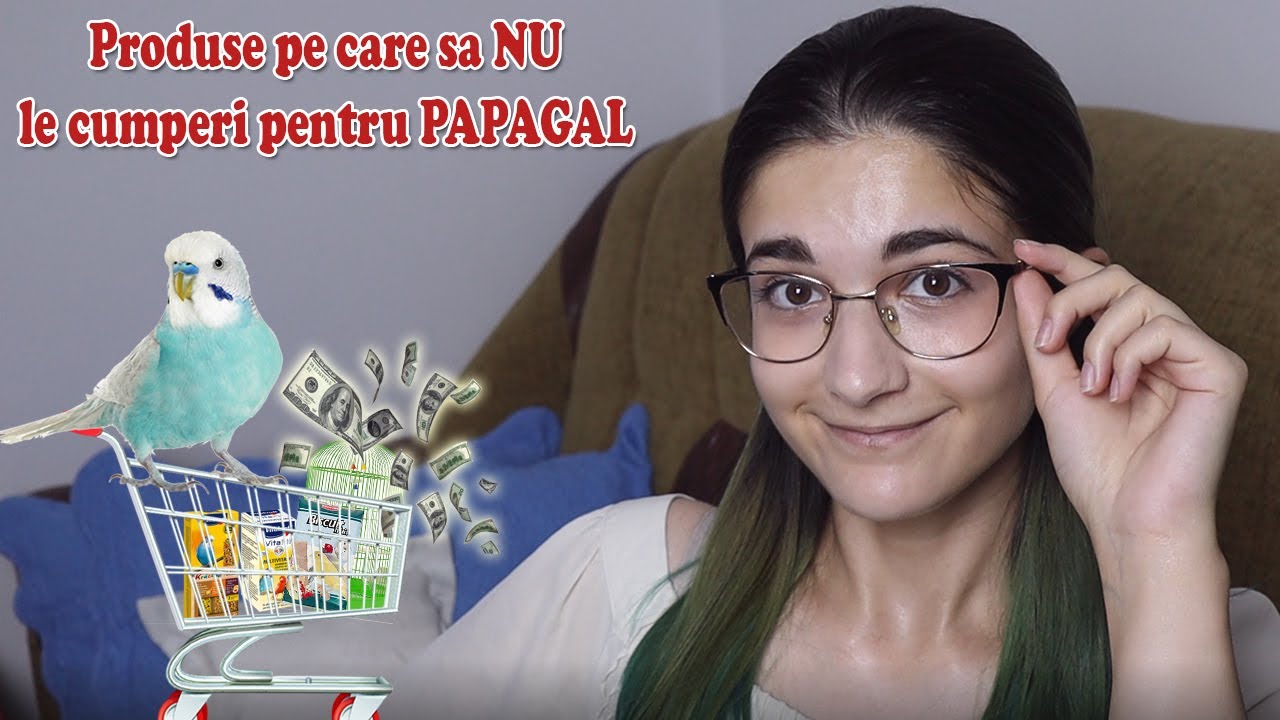 10 produse pe care să NU le cumperi pentru PAPAGAL