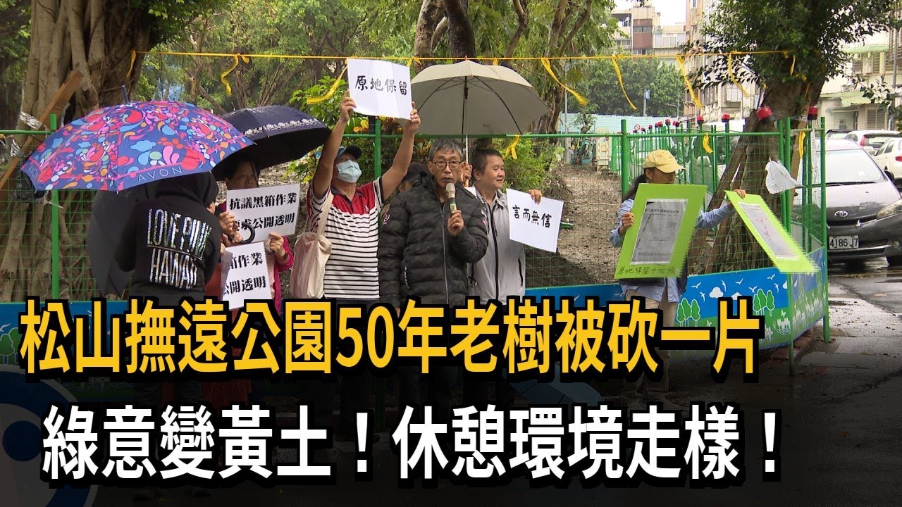 撫遠公園「景觀改善」 移除近80棵50年老樹引發不滿－民視新聞