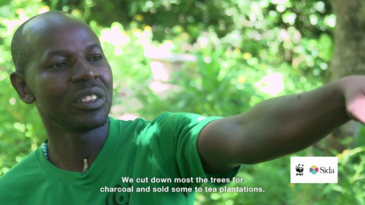 Leading the Change: Civil Society, Rights and Environment in Uganda
