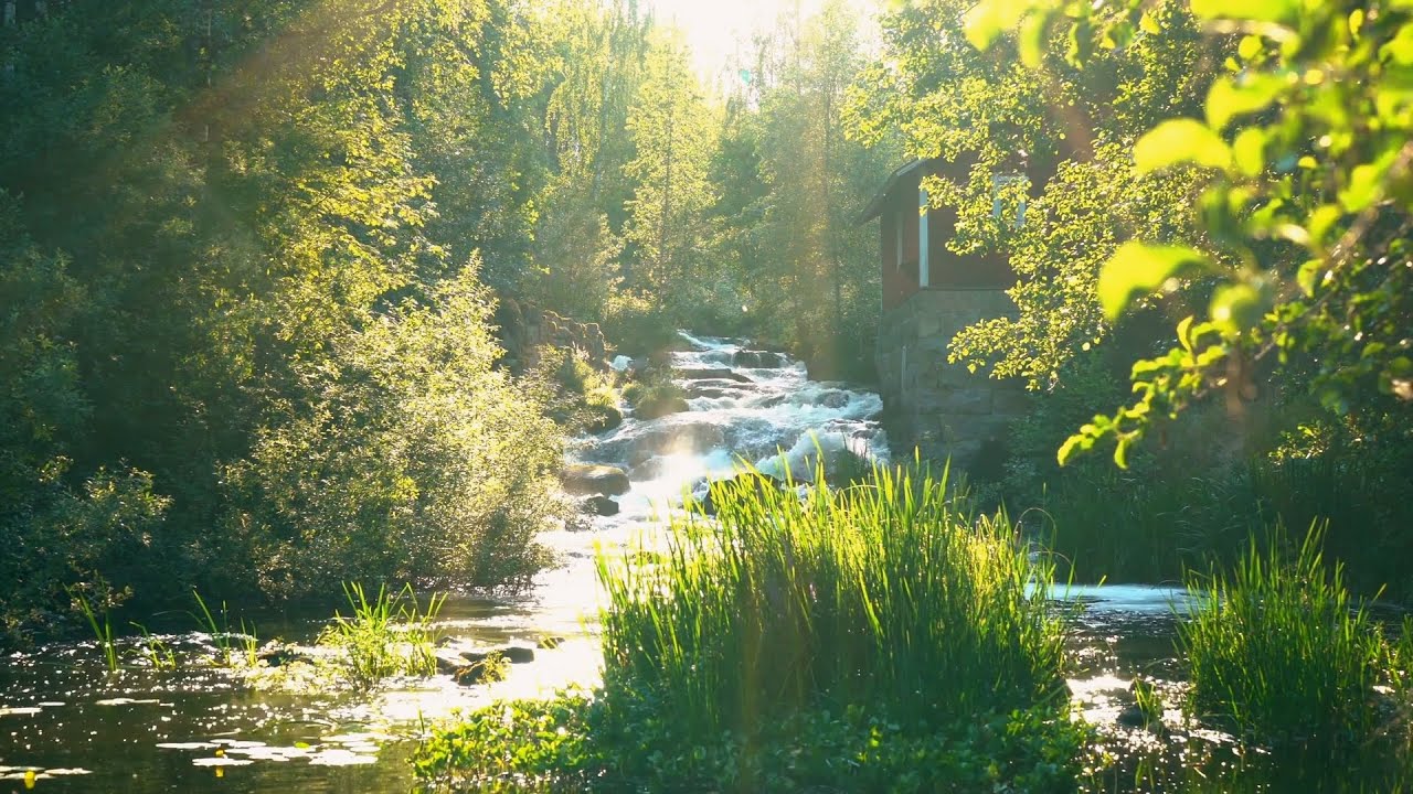 30 Minuten ruhige Entspannungsmusik zum Einschlafen und Meditieren mit beruhigenden Wassergeräuschen
