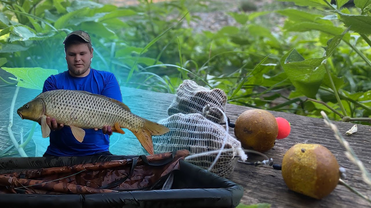 ЛУЧШАЯ НАСАДКА НА КАРПА🔥ЗОЛОТОЙ БЕРЕГ