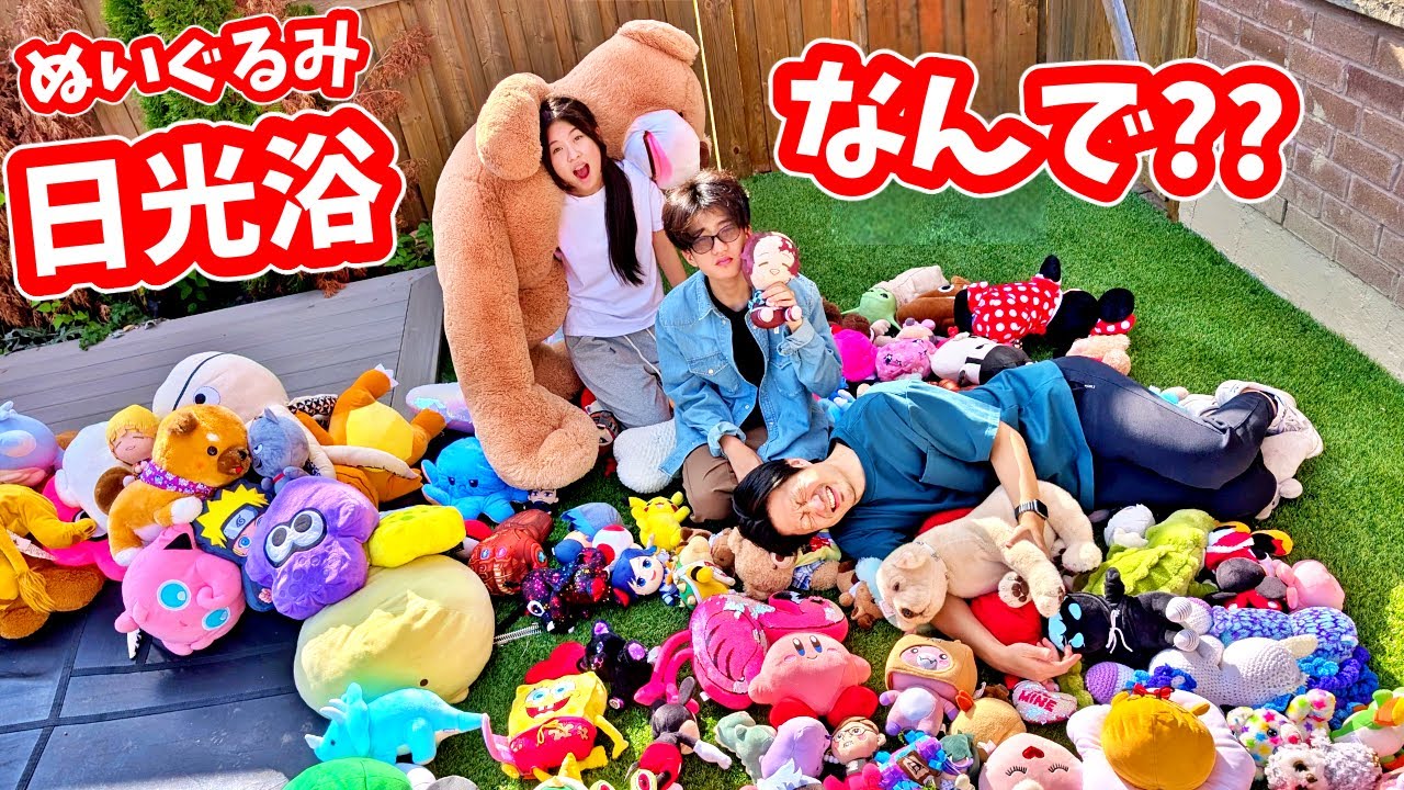 かほせい家の大量のぬいぐるみ達を日光浴させます🌞って思ったら雨❓どうするの❓