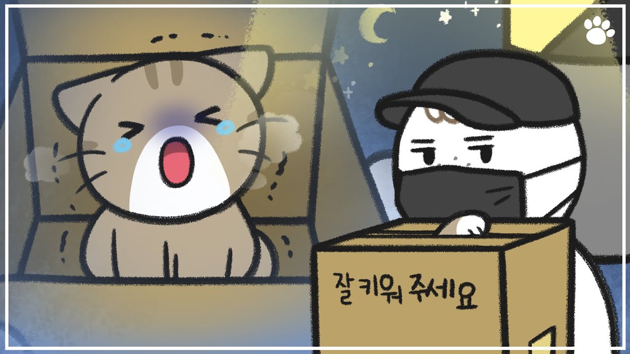 고양이 키우면 안 되는 사람 특징 | 길냥이 함부로 데려오지 마세요!