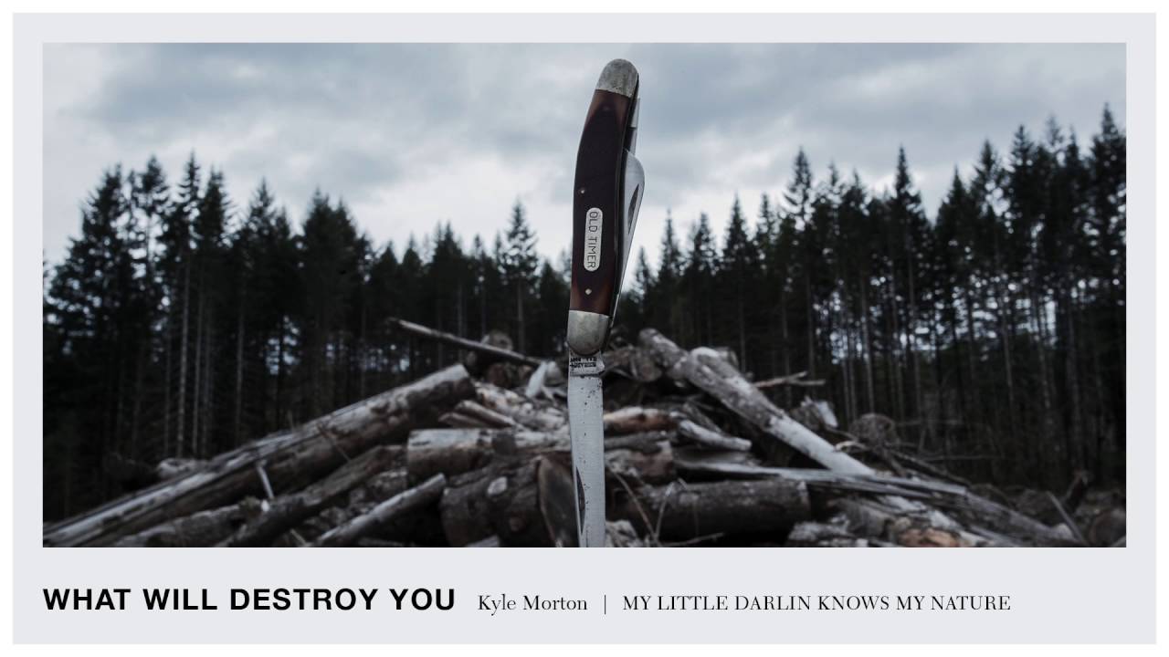 Kyle Morton - 