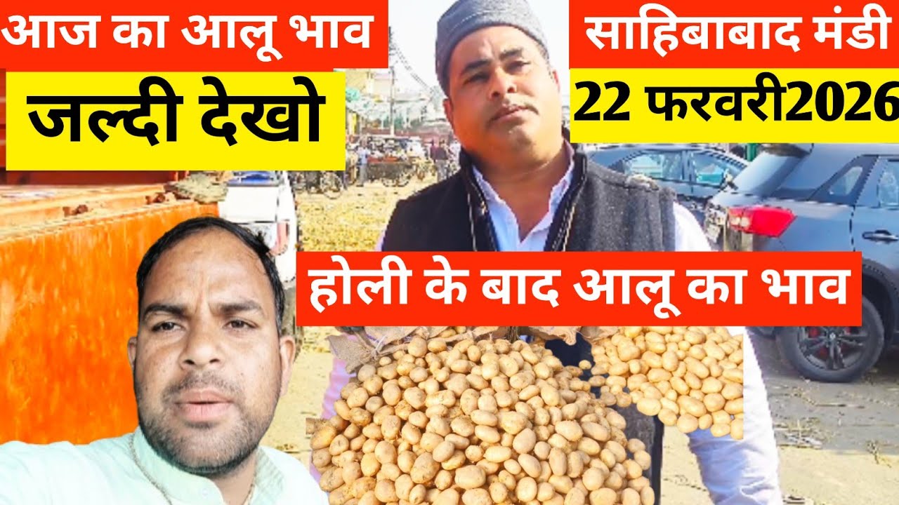 Why This Indian Mandi is Full of Potatoes 🍅आज का आलू  भाव