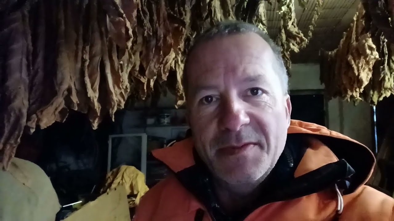 Zigarren selber machen. Fermentieren von Zigarrentabak - Teil 1