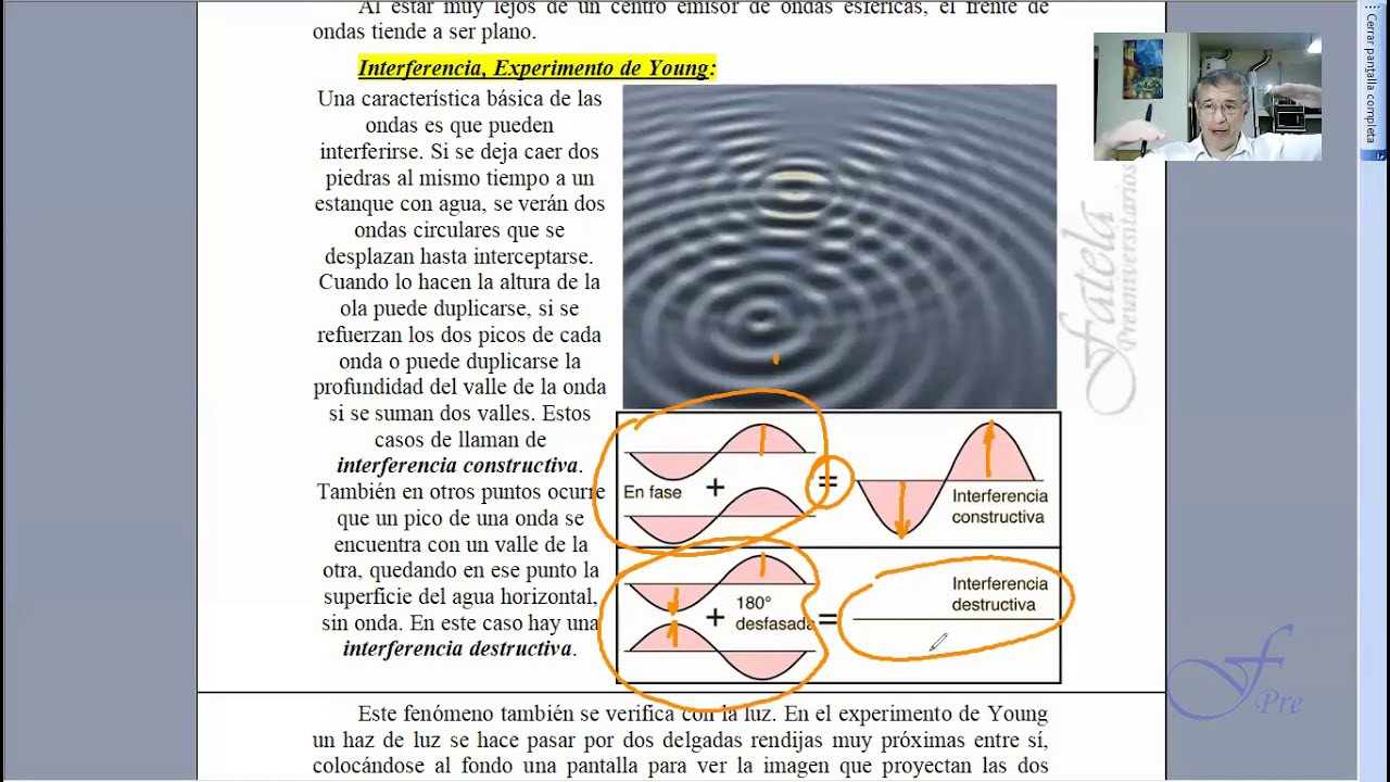 Interferencia de ondas luminosas, experimento de Young. Analogía con interferencia de olas y sonido