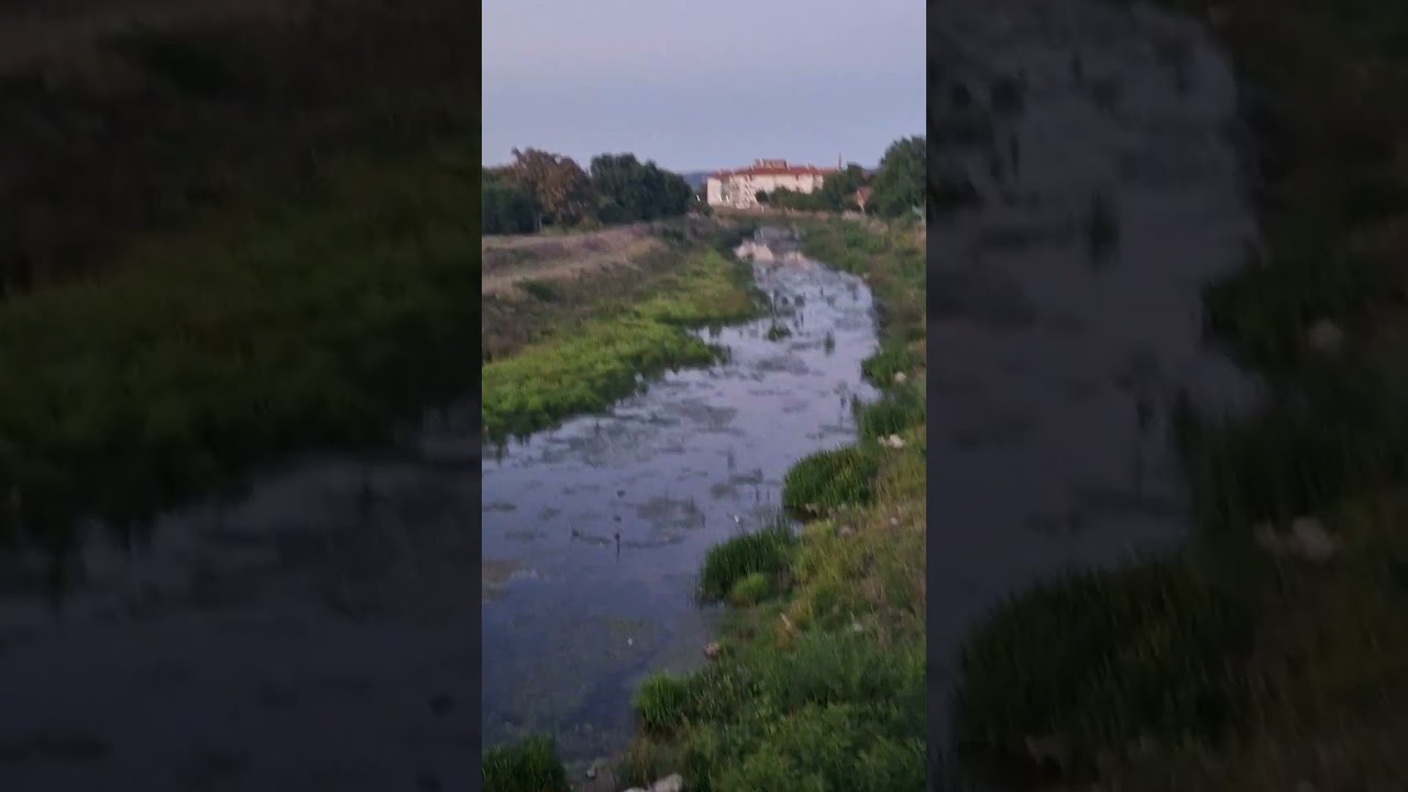 Crni Timok sa Kotlujevačkog mosta, 27.08.2025.