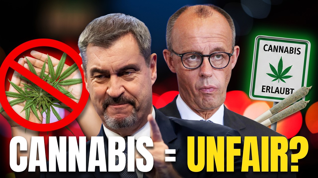 DAS &auml;ndert jetzt ALLES - Cannabis & MPU: Neue Daten, neue Regeln