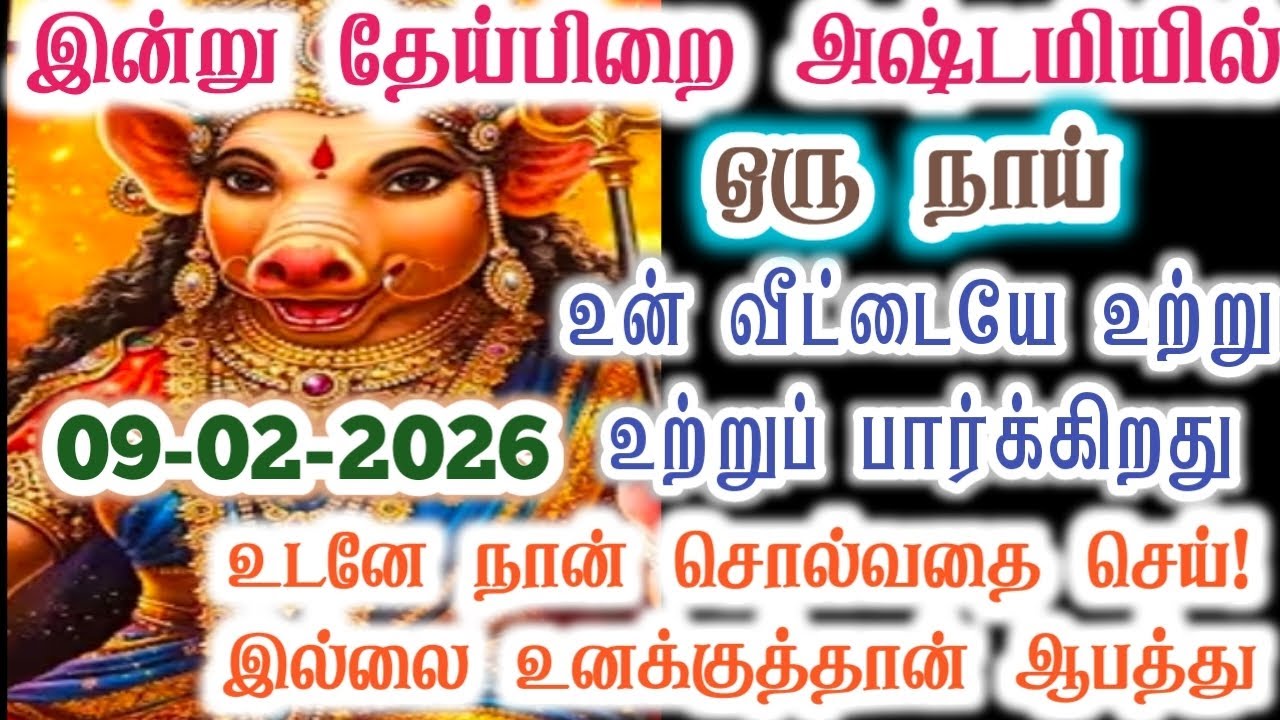 இந்த நாய் தான் உன் வீட்டை உற்றுப் பார்க்கிறது/Amman/varaahi Amman/positive vibes/@வராஹிஅருள்வாக்கு 