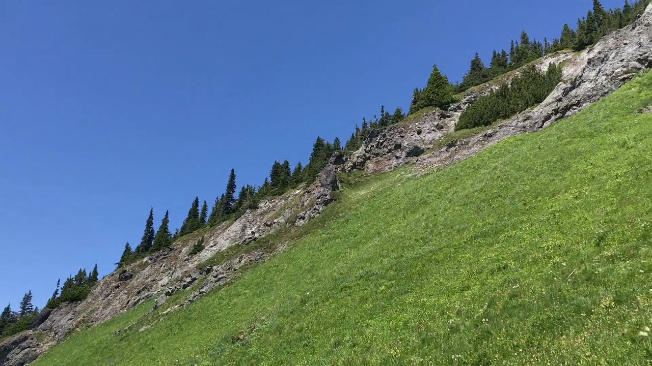 Tatoosh Ridge in WA 4
