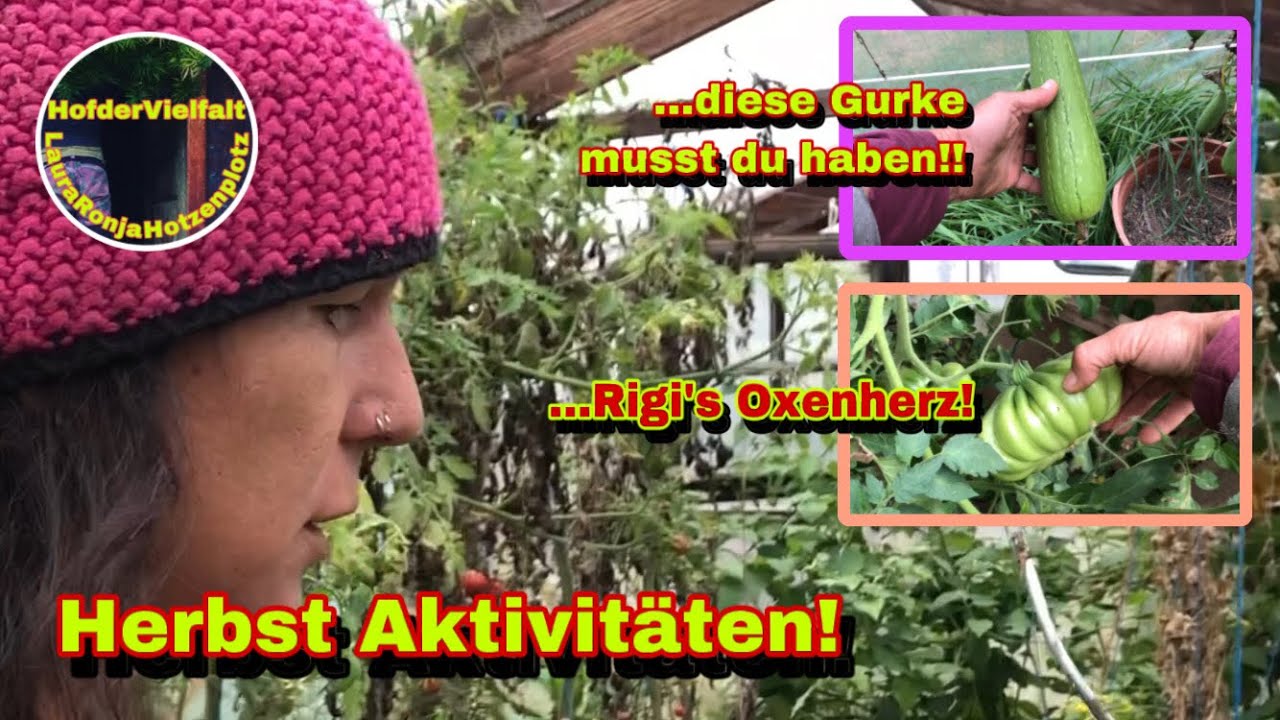 So spielt das Leben | Warum so lang kein Vieeo? | Tomaten | Hochtour @SelbstversorgerRigotti