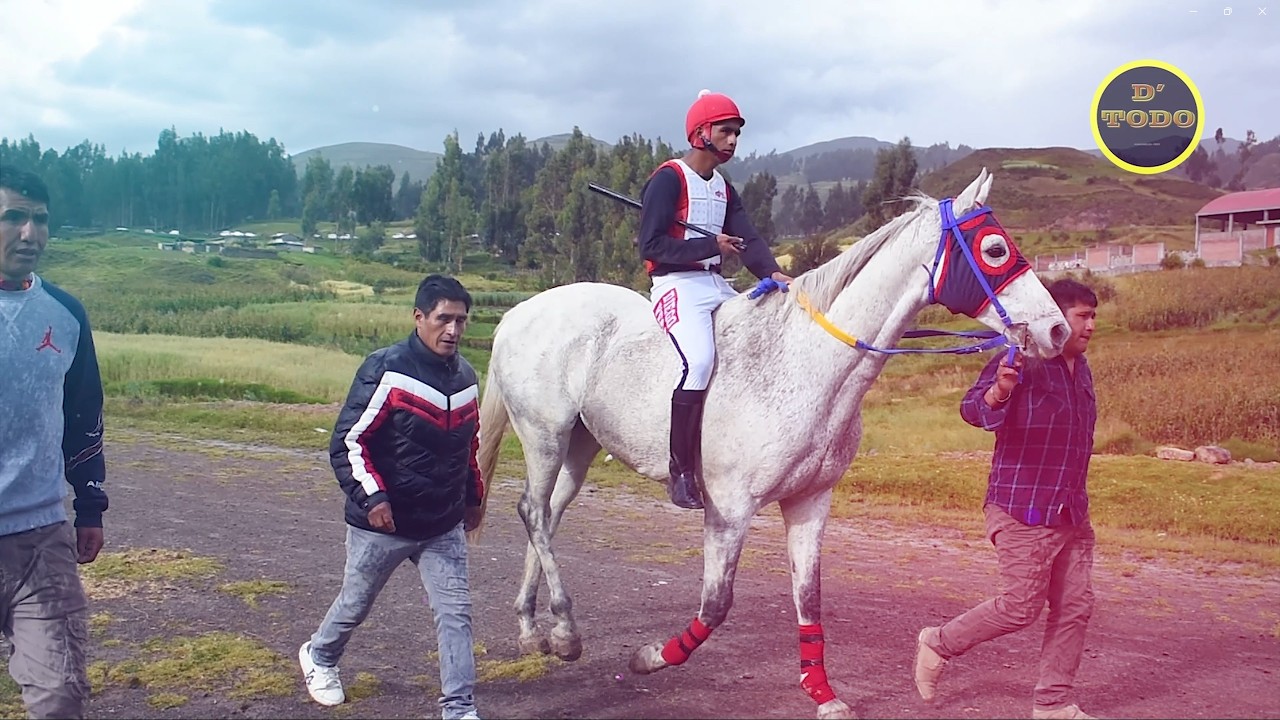 GRAN CARRERA DE CABALLOS MEJORADOS LIRCAY
