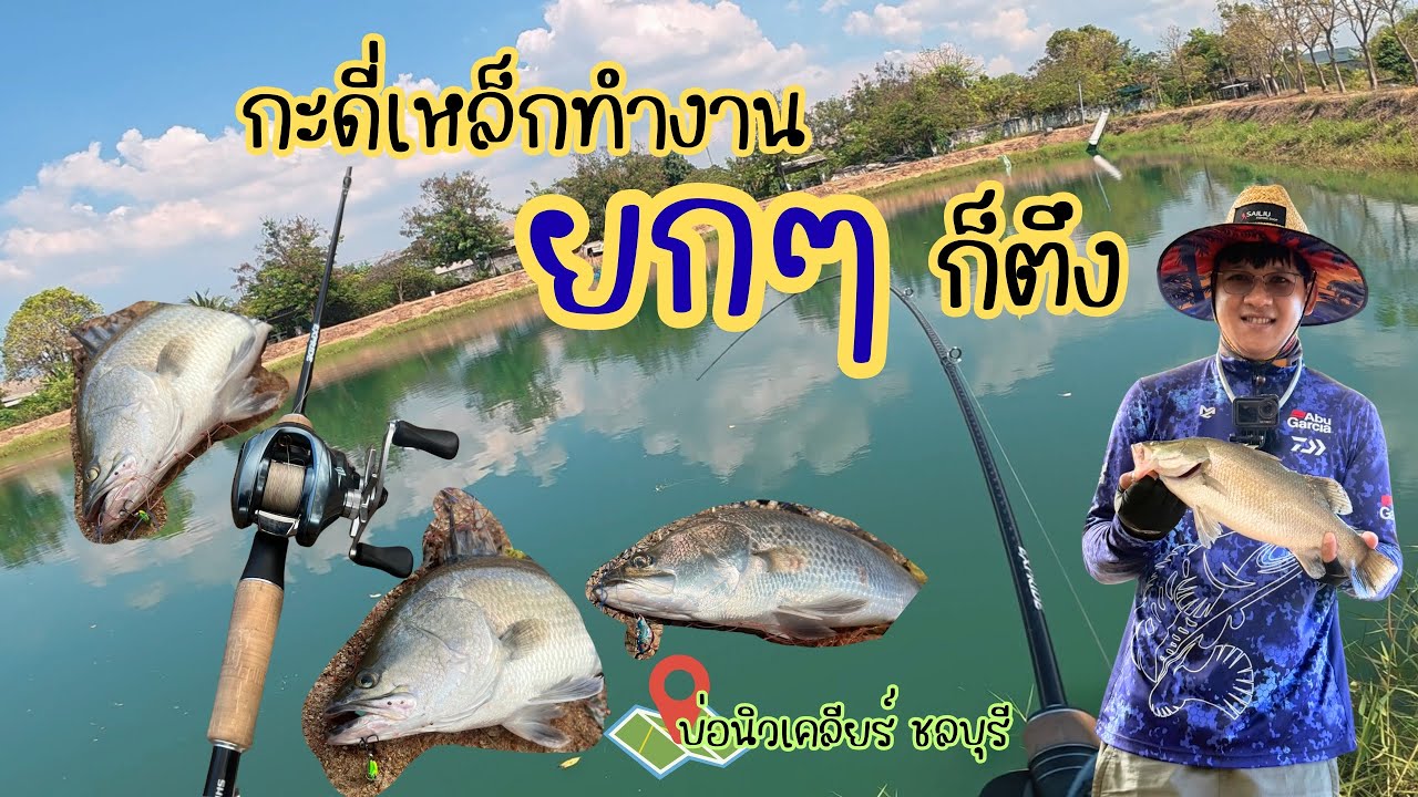 Ep.40 นานๆจะหมานที #บ่อนิวเคลียร์ #กะพงบุฟเฟ่ต์ #shimano #กะดี่VNB #กะดี่PH