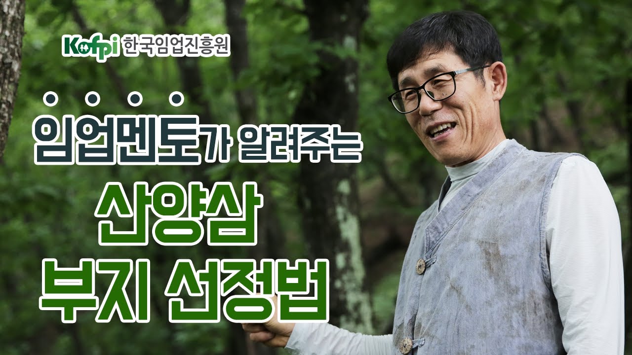 [산양삼 재배] 1차-산양삼 부지선정방법｜청정임산물재배교실