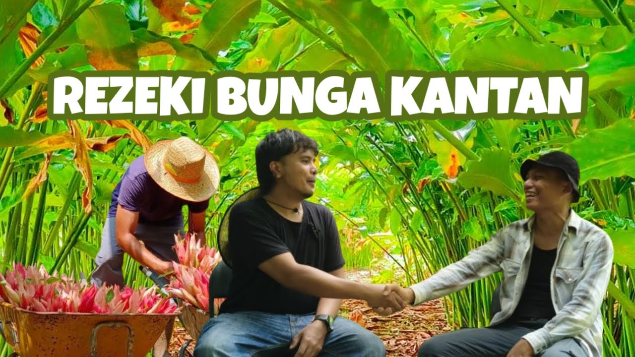 XN4041 | Dari 8 Pokok ke Ladang Bunga Kantan: Kisah Kecekalan Sadam yang Menjadi Inspirasi Anak Muda