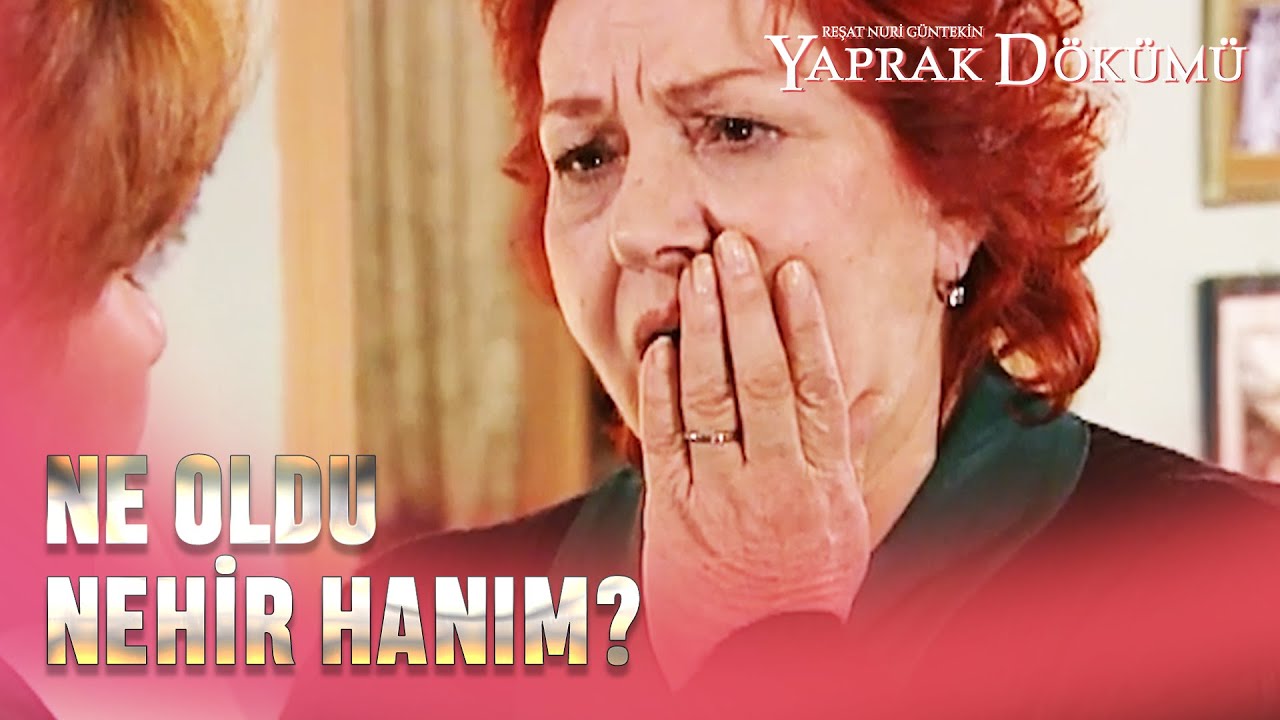 Hayriye Hanım Ne Öğrendi?  - Yaprak Dökümü 10.Bölüm