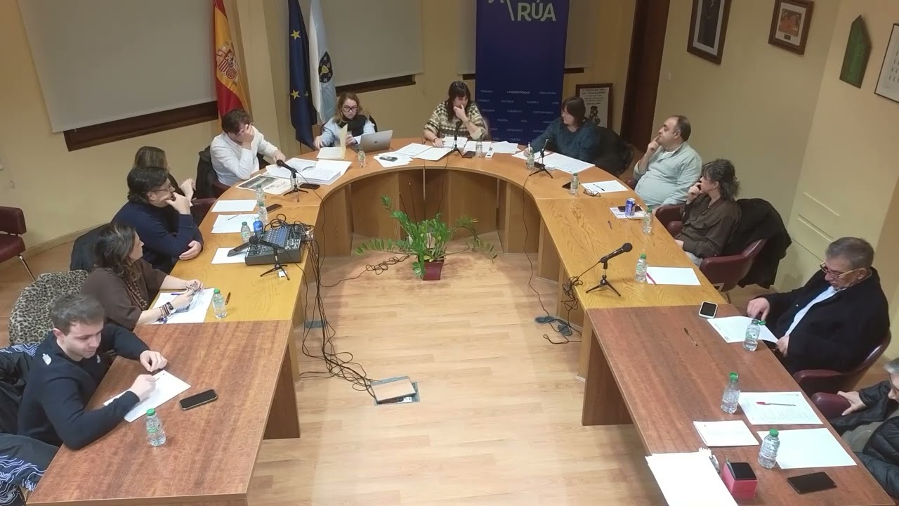 Pleno ordinario de xaneiro de 2026