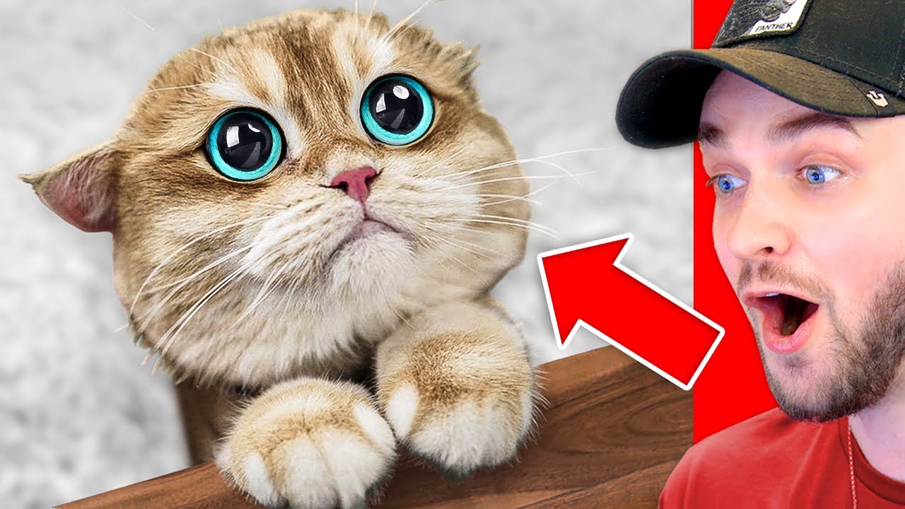 Самый *СЛОЖНЫЙ* в мире челлендж «Попробуй не сказать AWW»!