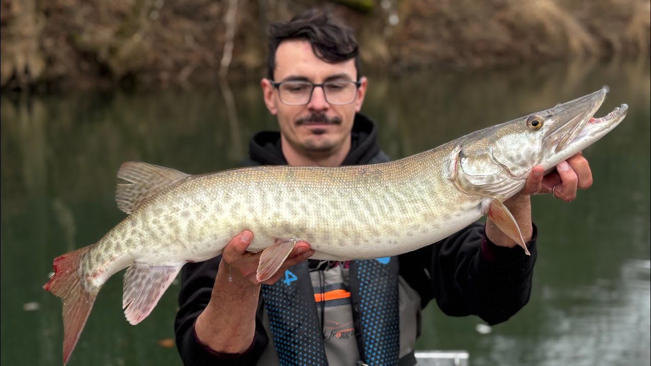 January Musky Adventure - EPIC! 🥶🎣