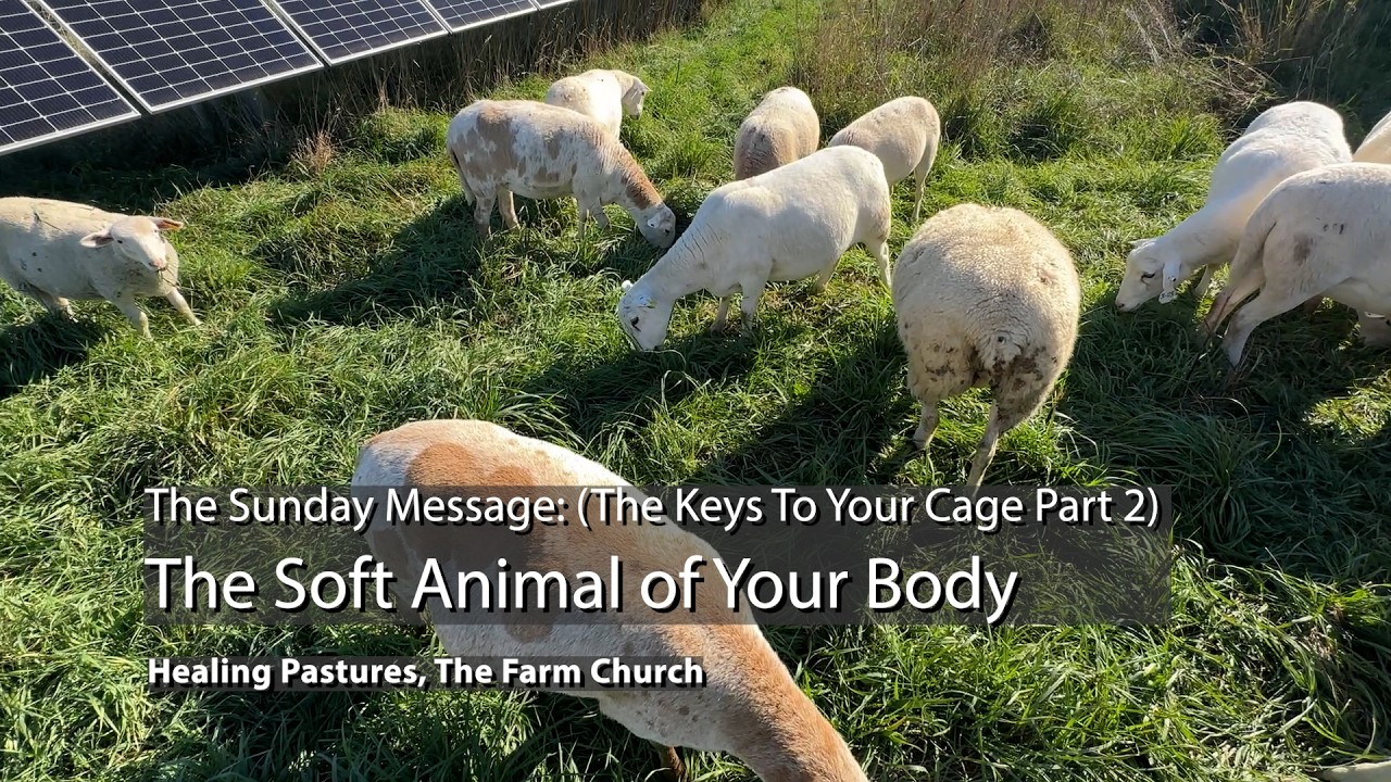 LET THE SOFT ANIMAL OF YOUR BODY OUT of IT'S CAGE! Move it!
