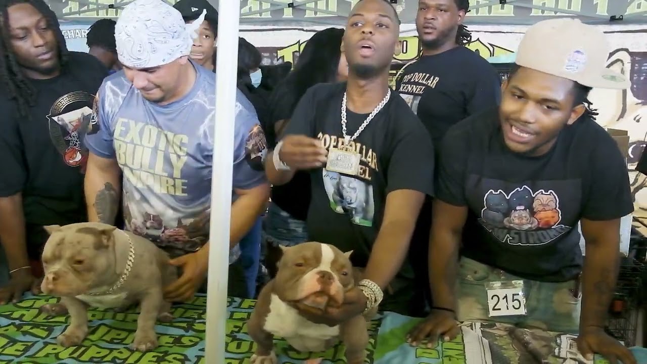 30Rich Bring All His Dogs to Rumble in The Jungle 2022 in Dallas, Texas