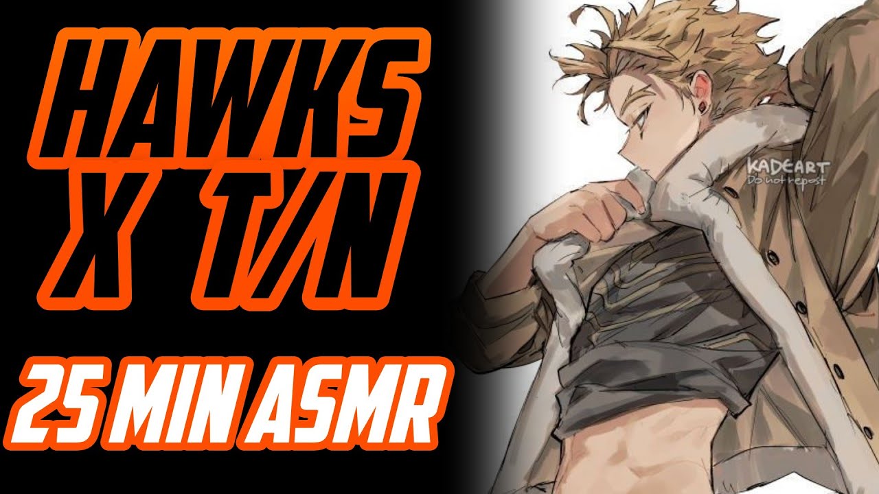 HAWKS X TN 🧡 Recopilación | ASMR Hawks | Hawks ASMR Roleplay Español 