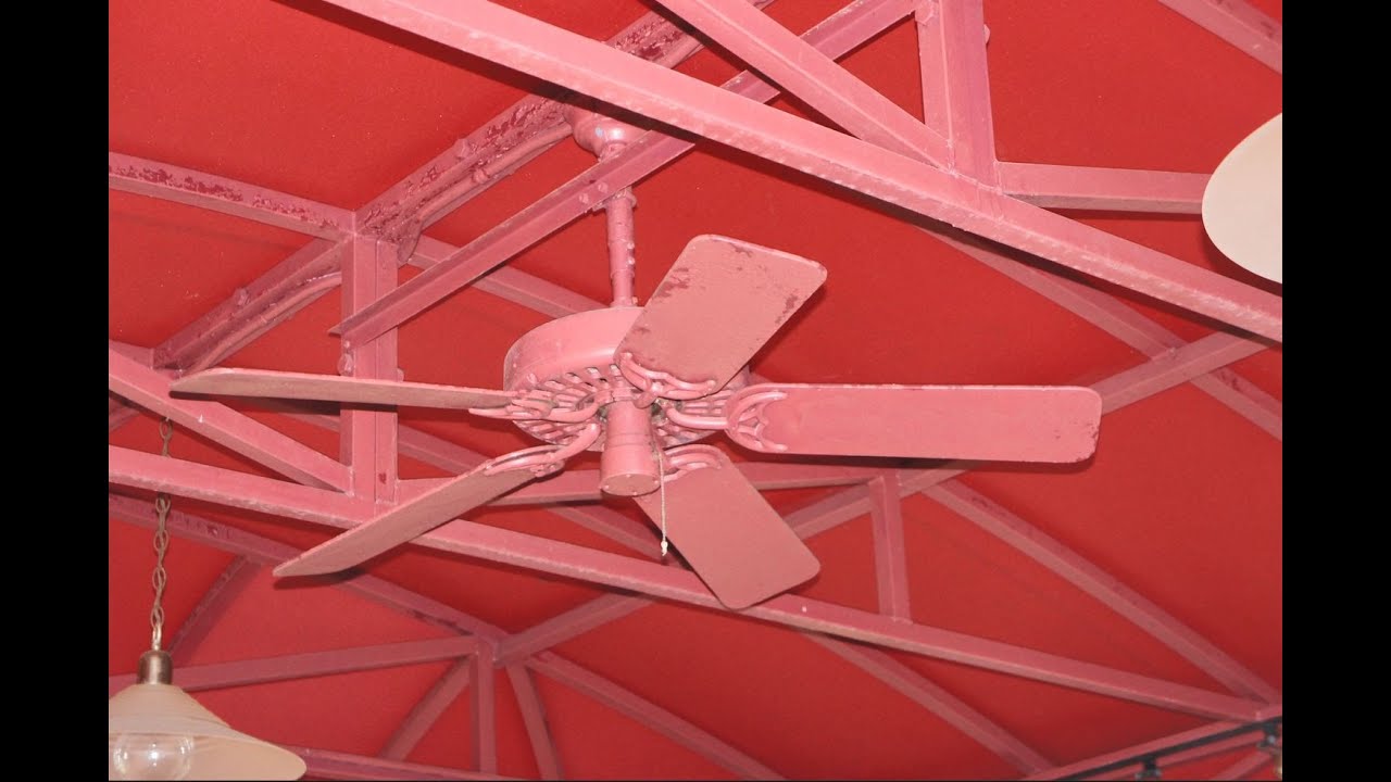 Disney World Ceiling Fans (Picture Slideshow)