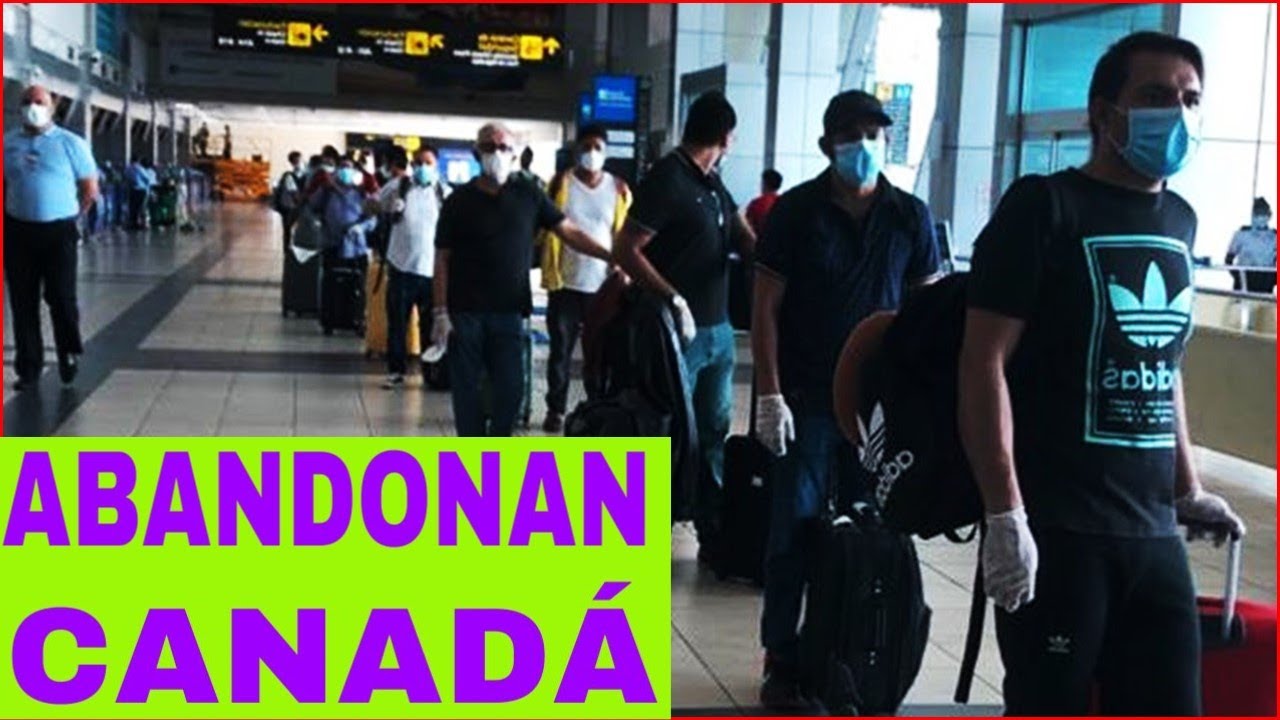 Por Esto Se Van Miles de Latinos de Canadá | DesafioTorontoJC