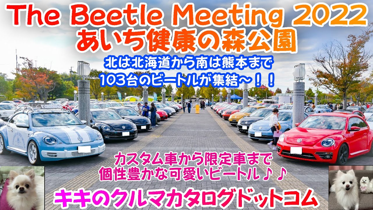The Beetle Meeting 2022.10.30 in あいち健康の森公園 ビートル全国オフ参加して来ました～♪♪ 103台のビートルが大集結！！個性豊かなカワイイビートル♪♪